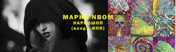 твердый Надым