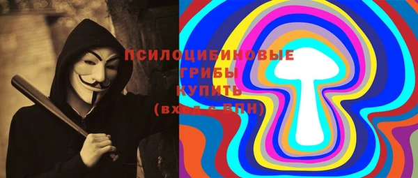 твердый Надым