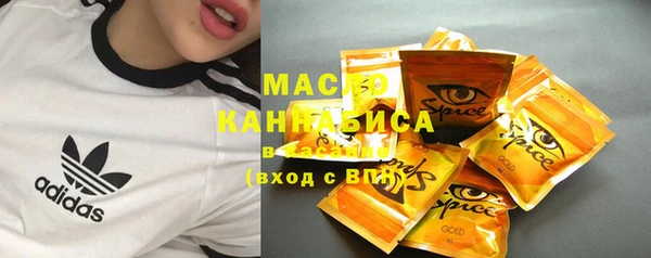 твердый Надым