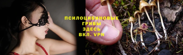 твердый Надым