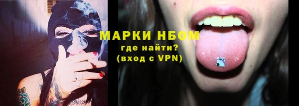 твердый Надым