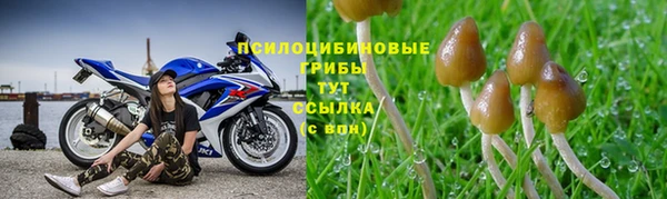 твердый Надым