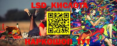 стаф Кимры