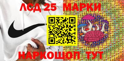 стаф Кимры