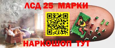 стаф Кимры
