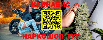стаф Кимры