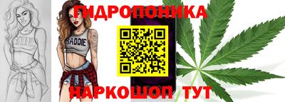 мет Кингисепп