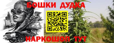 стаф Кимры