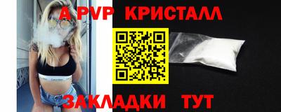 мет Кингисепп