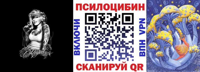 shop формула  Нальчик  Псилоцибиновые грибы Psilocybe 