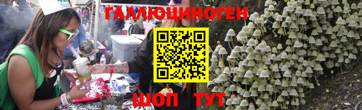 Нальчик  купить наркотики цена  Вход с VPN  Галлюциногенные грибы Psilocybe 